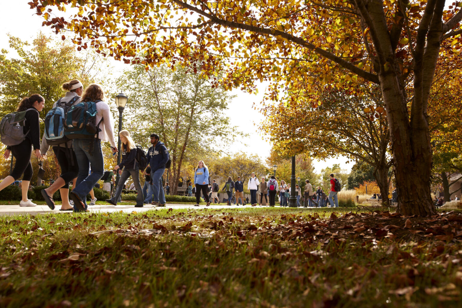herzing-university-brookfield-wisconsin-private-colleges