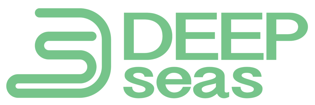 DeepSeas Logo